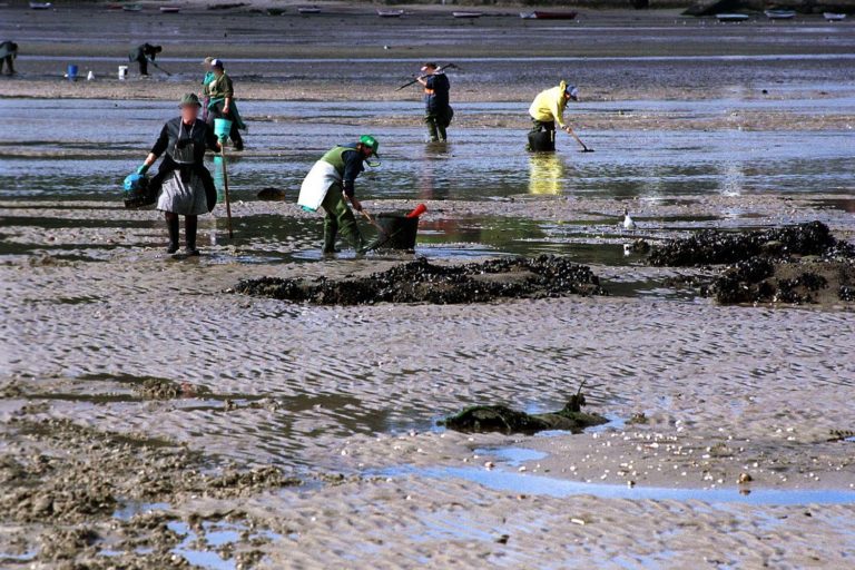 O BNG de Redondela demanda da Xunta medidas en defensa das mariscadoras