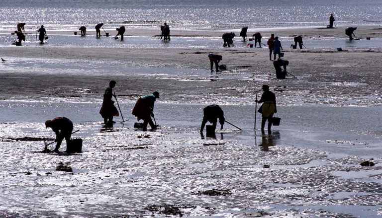 A Deputación abre este venres o prazo para que confrarías e agrupacións de mariscadoras soliciten axudas