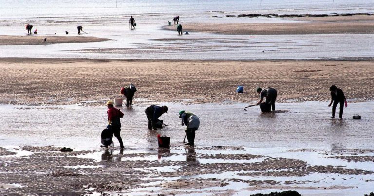 A deputación inicia o proxecto ‘DEPOMAR’ para poñer en valor o traballo das mariscadoras en contornas da Rede Natura 2000