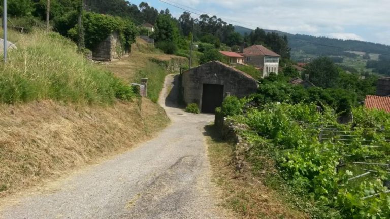 Arbo acomete a mellora e ensanche dun camiño no lugar de Pazos, na parroquia de Barcela