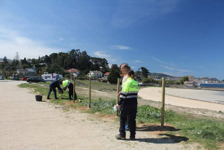 O Concello de Nigrán protexe perimetralmente a zona dunar de Lourido onde se está a crear unha ‘micro-reserva piloto’