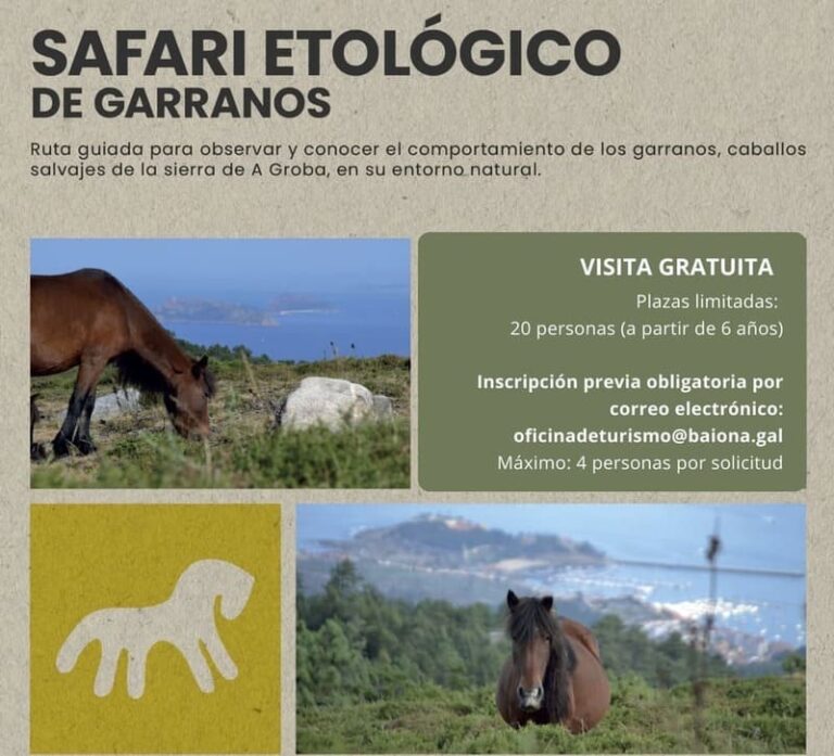 Baiona abre o luns as inscricións na terceira ruta “Safari Etológico de Garranos”