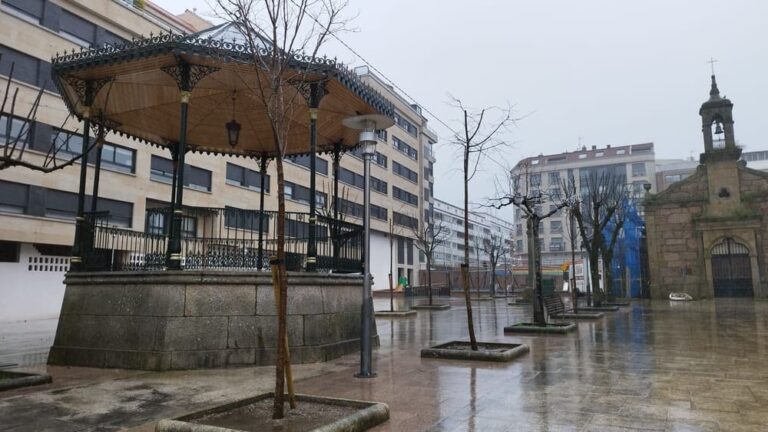 O Porriño planta 100 novas árbores no centro urbano