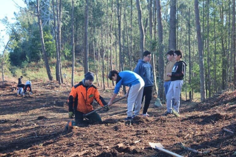 O CEIP Carlos Casares planta especies autóctonas no Monte de Santa Cruz