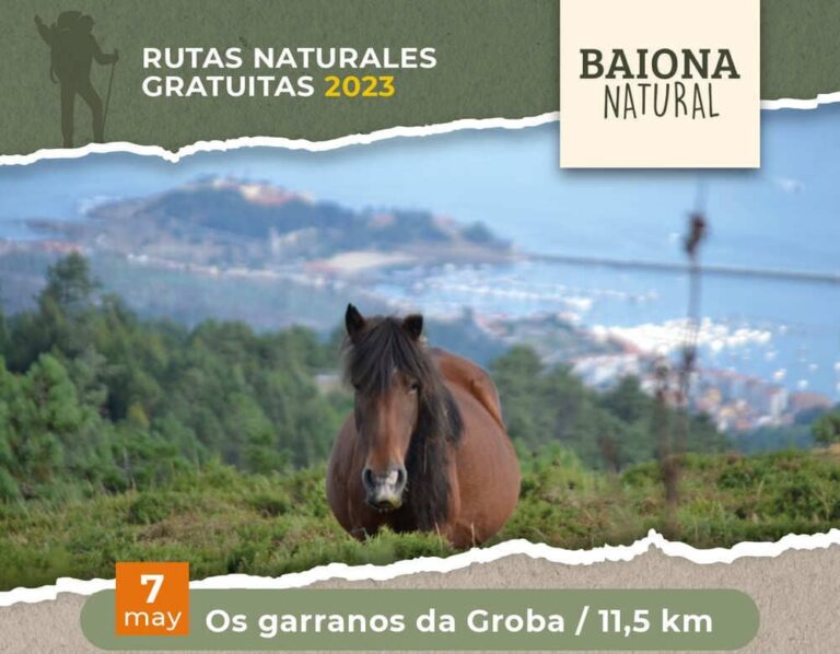 Últimas prazas para o roteiro por Baiona deste domingo