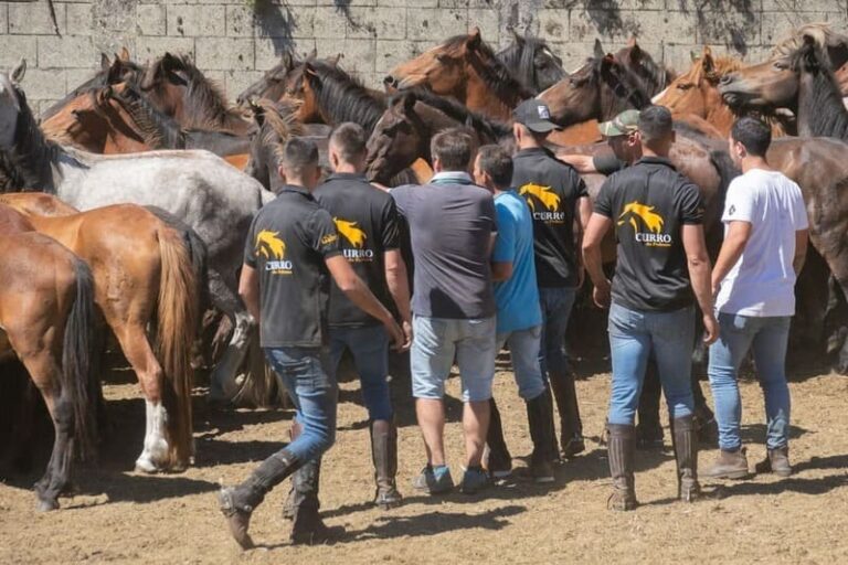 A Cañiza retoma, despois de 12 anos, o Curro do Pedroso