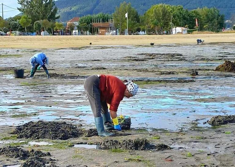 O Concello de Redondela lamenta que o PP non apoie as reivindicacións das traballadoras e traballadores do mar do municipio