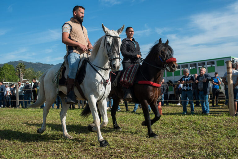 Tres días de actividades na Concentración Cabalar de Telmo en Tui